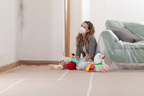 Reliable Mold Cleanup contractor in Buckley, MI by Cheap Mold Removal